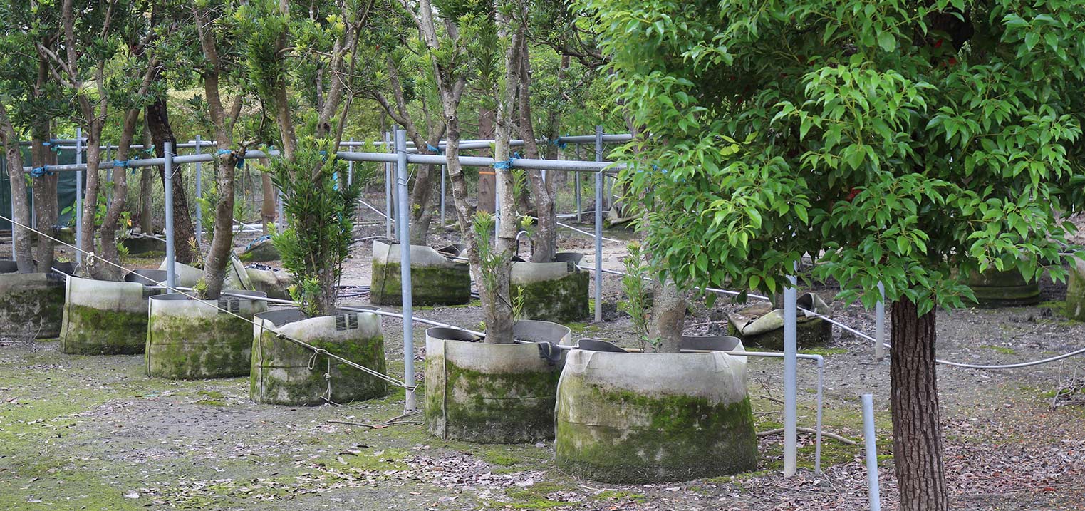 園藝資材